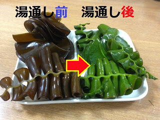 左側が赤茶色の湯通し前で右側が緑色になった湯通し後のめかぶがトレーにいれられ、湯通し前、湯通し後の文字と矢印で違いを示している写真