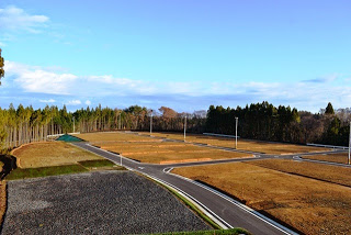 周囲を林に囲まれた造成地が、区画整理されて舗装された道路が碁盤の目のように通っている造成済み宅地の写真