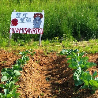 「整理整頓 MINAMISANRIKU」と描かれたタコとモアイのイラスト付きの手作り看板が立つ畑に、育ち始めた野菜の苗が並ぶ農園の写真