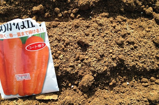 畑の土の上に、封が開けられた人参の種の袋が置かれている写真