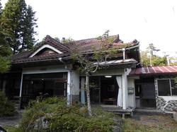 庭木が玄関前に茂り、赤茶色の瓦屋根と白い外壁を持つ日本家屋の写真