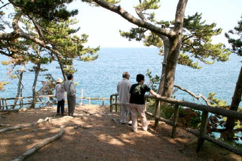 松林に囲まれた高台の展望台で、観光客が穏やかな青い海を柵に手をかけながら景色を眺めている様子の写真