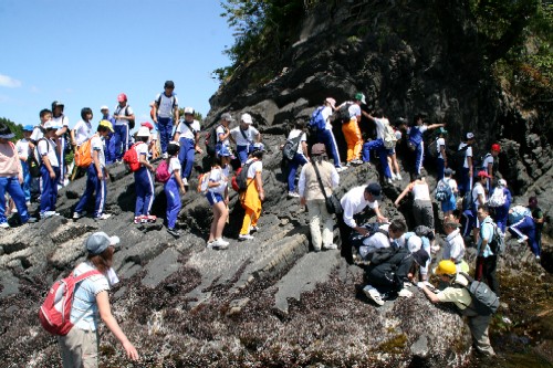 晴天の下、体操服などを着た子どもたちが海岸近くのゴツゴツした岩場で自然観察や散策をしている様子の写真