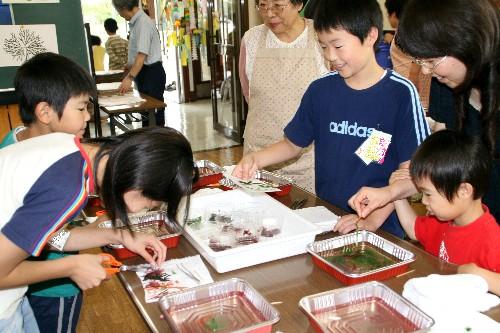 屋内で、子どもたちが水が入ったトレイや道具を使って海藻おしばを制作しているのを関係者が見守っている様子の写真