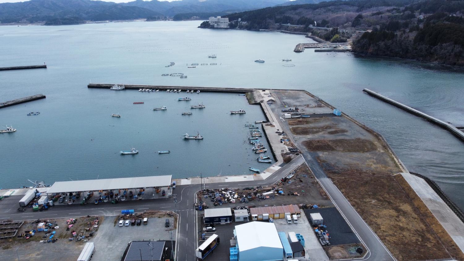 静かな湾内に多くの小型漁船が浮かび、コンクリートで整備された防波堤と岸壁に囲まれた港が中央に広がり、手前には倉庫や建物、漁業関連の施設や車両が並び、奥には山と海が続いている港周辺の昼間の風景を高台から定点カメラで撮影した写真