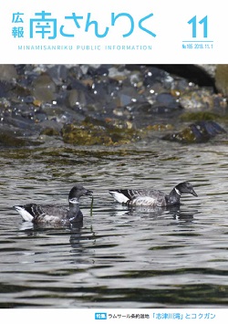 広報南さんりく令和元年11月号の表紙
