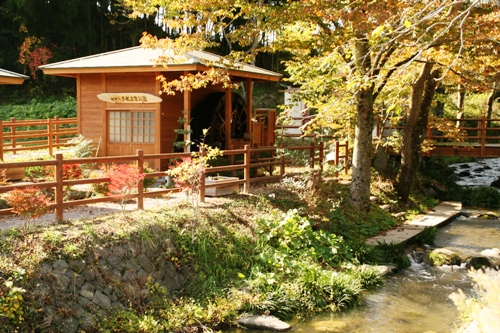 晩秋の陽光に照らされ、色づいた木々に囲まれた水辺に建っている水車小屋の写真