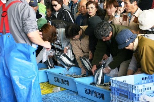 活気あふれる「志津川魚市場」で、大勢の買い物客が身を乗り出し、水色のプラスチックケースに並べられた新鮮なサンマを競うように選んでいる写真