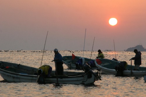 太陽の光で赤みがかった空の下、海に浮かぶ数隻の小型漁船に乗って作業をする漁師たちのシルエットが映し出されているアワビ漁の様子の写真