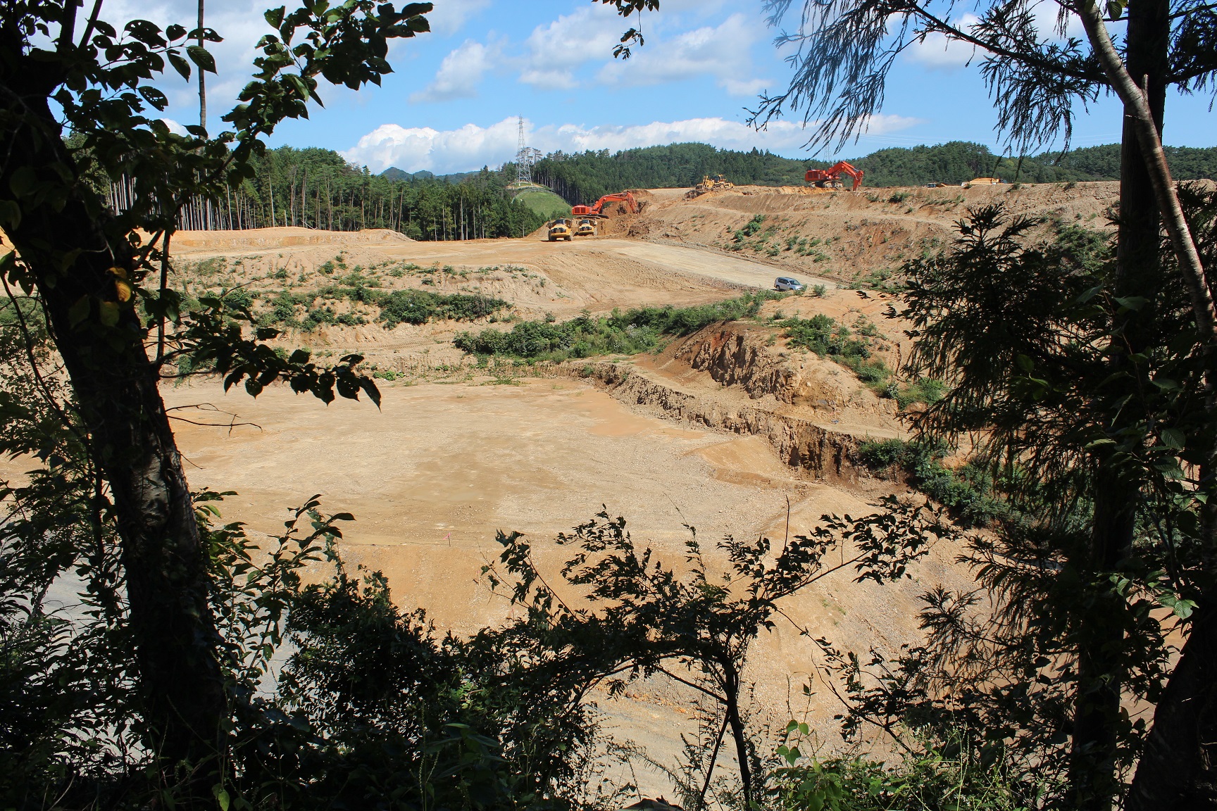 木々の間から見える造成地で複数台の重機がが稼働している様子の写真