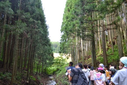 両側に背の高い杉林が立ち並ぶ林道を、小川に沿って歩いている若者たちの写真