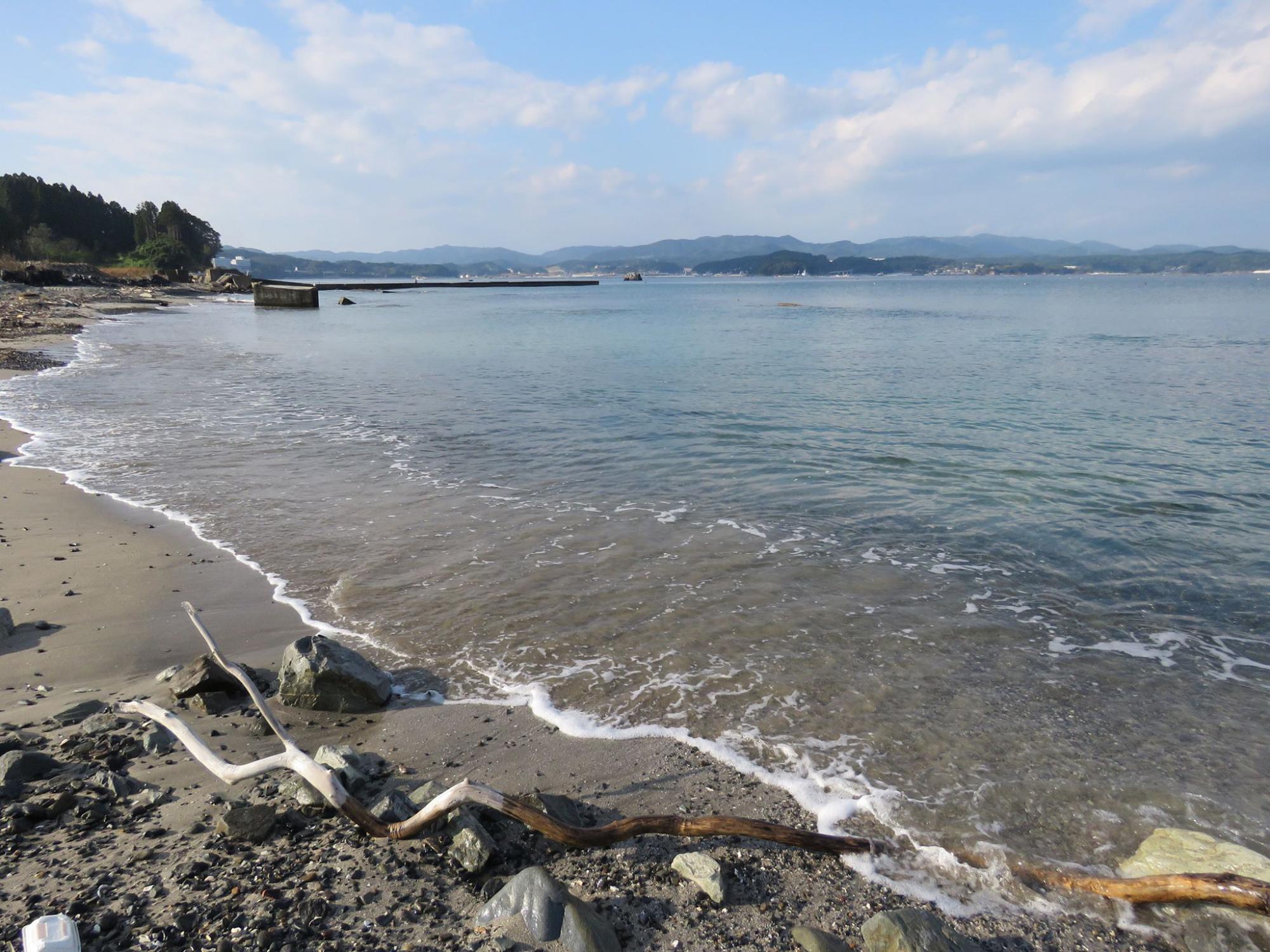 砂浜に打ち寄せる波と漂流木があり、遠くには山々と青空が広がっている志津川湾の写真