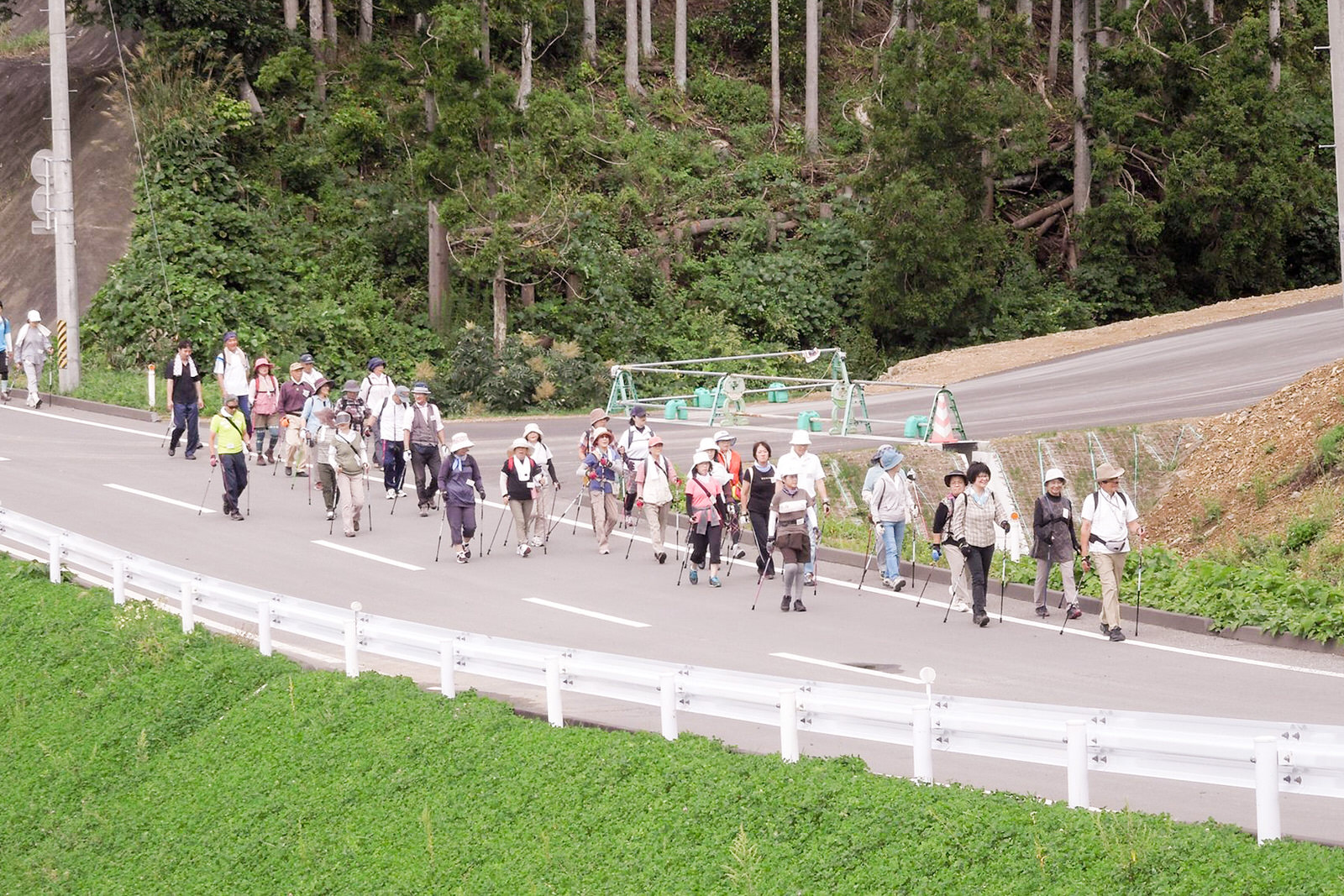 山道に沿って舗装された道路を大勢の参加者がポールを使って列になって歩いており、自然の中でウォーキングを楽しんでいる様子が見られる写真