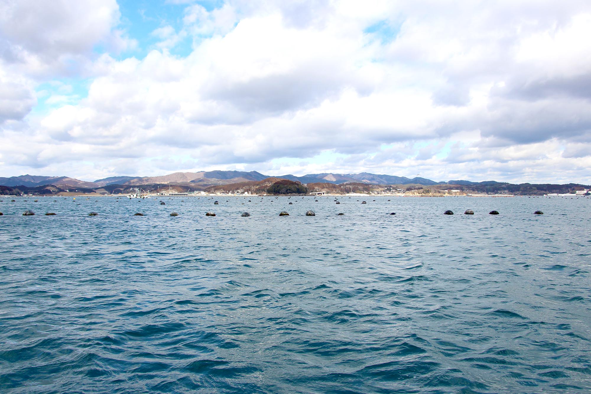 穏やかな青い海の上に点々と浮かぶ黒いブイが並び、奥には山並みと町並みが広がっている養殖場の風景の写真