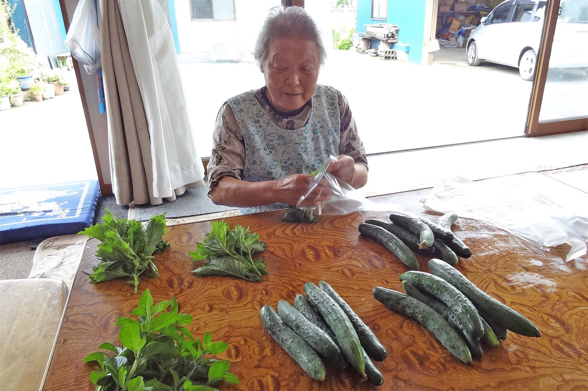 女性が室内のテーブルの上で大量のきゅうりと葉野菜を袋詰めしている写真
