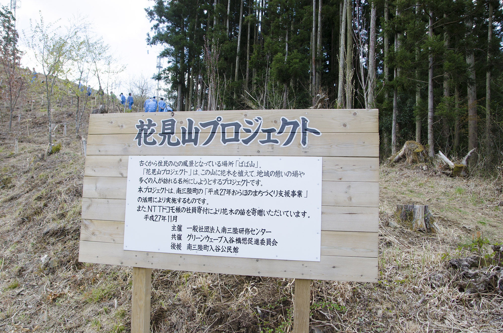 木製の看板に「花見山プロジェクト」と大きく書かれ、その下にこのプロジェクトの趣旨が説明されていて、背景には斜面に植林活動をしている青い作業着姿の人々と、杉の木が立ち並ぶ森が広がっている写真