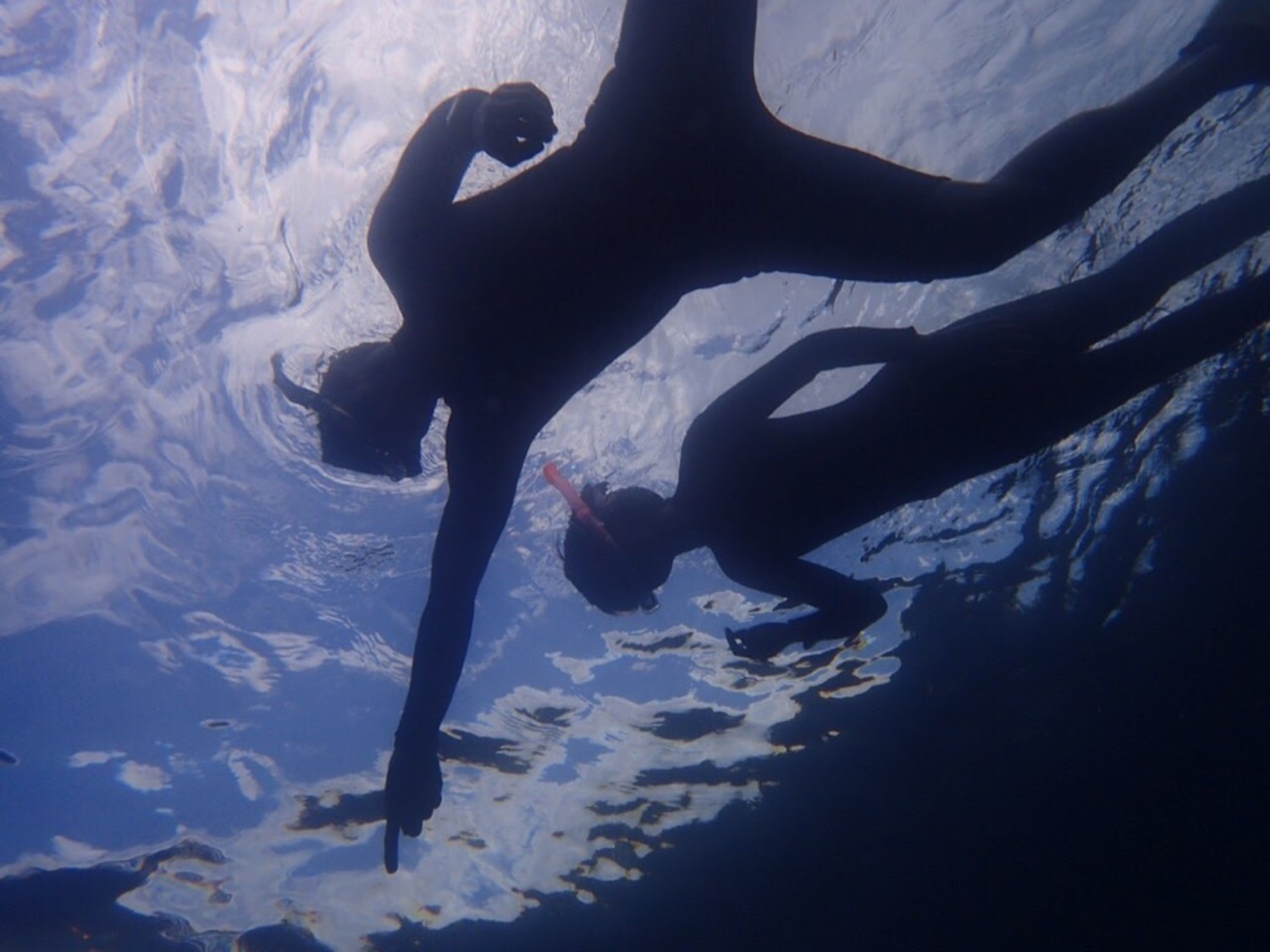 シュノーケルをつけた2人の人物が水面の光を浴びながら浮かび、1人が水中を指さしているシルエットを水中から見上げる視点で撮影した写真