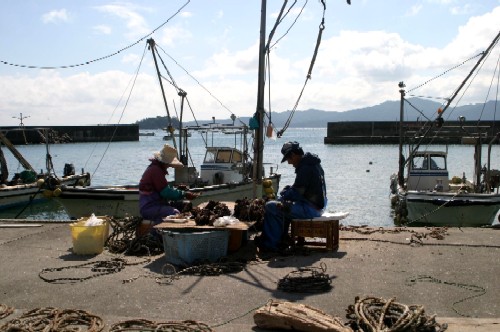 漁港の岸壁で2人の漁師が対面に座り、目の前の山積みの海産物を処理している様子の写真