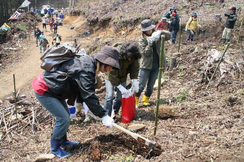 防寒着や長靴を着用した多数の参加者たちが集まり、山肌の斜面で苗木を植えるためにクワを使って地面に穴を掘る作業をしている写真