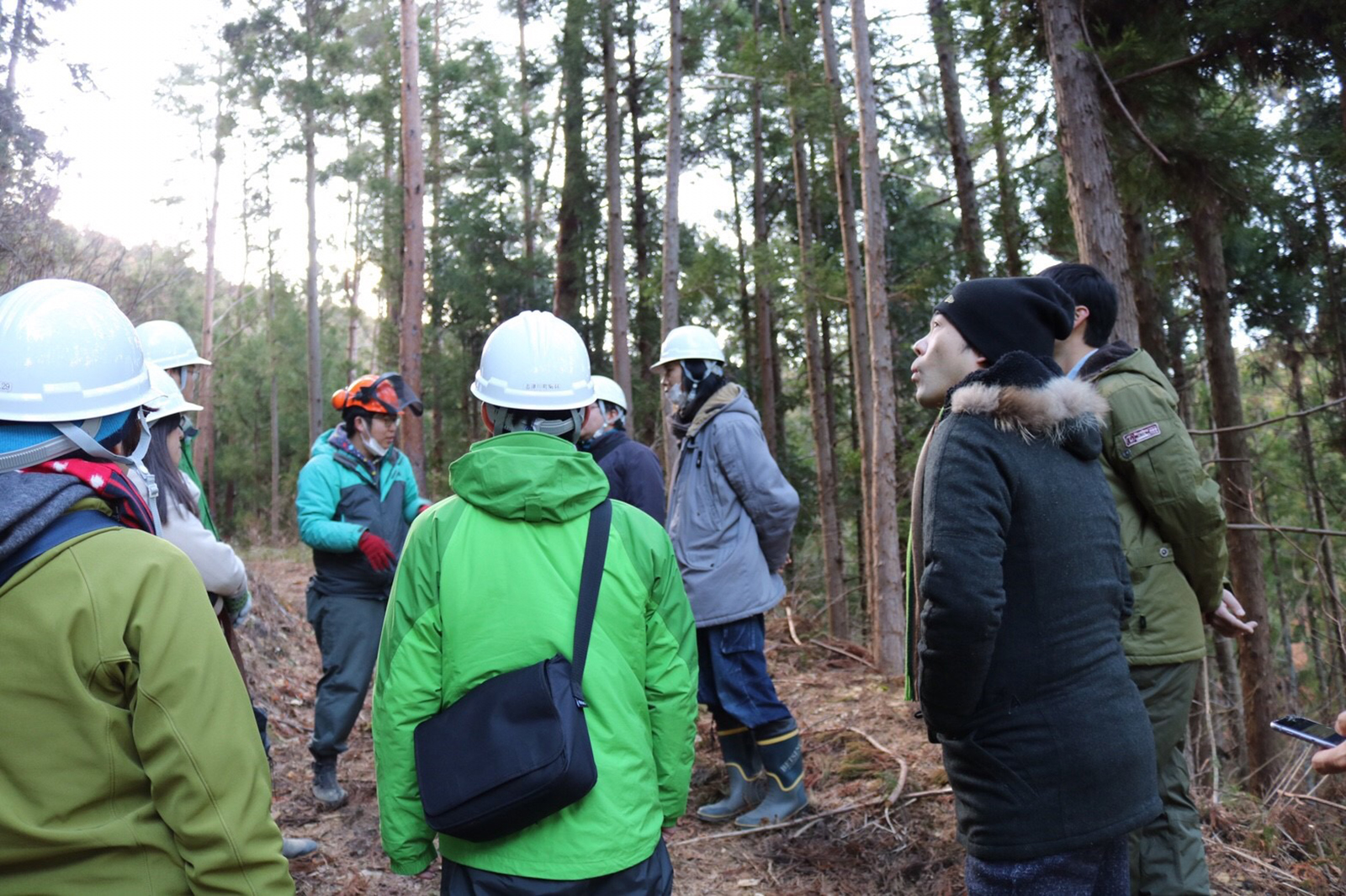 杉林の中でヘルメットをかぶったツアー参加者たちと佐藤さんが案内役の男性を囲んで説明を聞いている写真