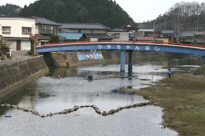 穏やかな川に架かった「ウタちゃんはし」と書かれた赤い欄干の水色の橋の手前で、男性がしかけの石を並べた川の中に入り作業をしている、しろうお漁の様子を写した写真