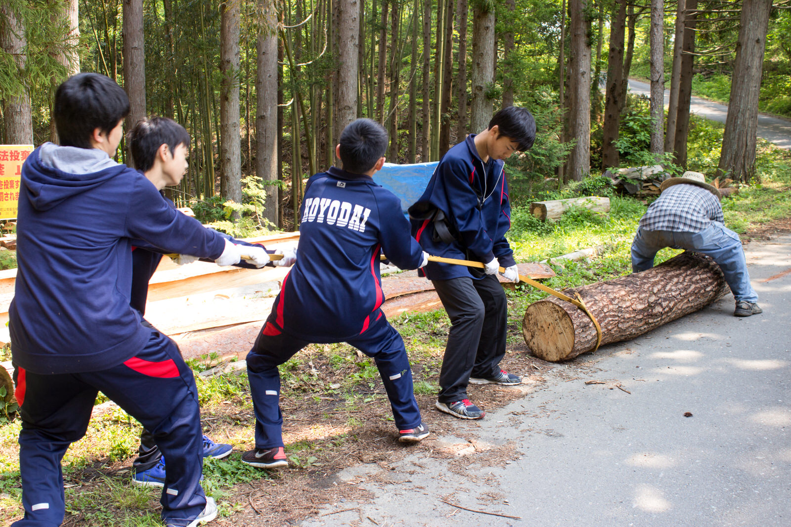 林道の脇で青いジャージ姿の4人の男子生徒たちが麦わら帽子を被った男性と協力し、ロープをかけたで丸太を引っ張りながら作業している様子の写真