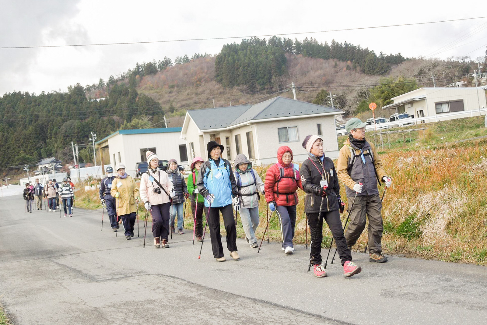 田舎の住宅地を背景に、防寒着を着た参加者たちがポールを使いながら列になってノルディックウォーキングをしている様子の写真