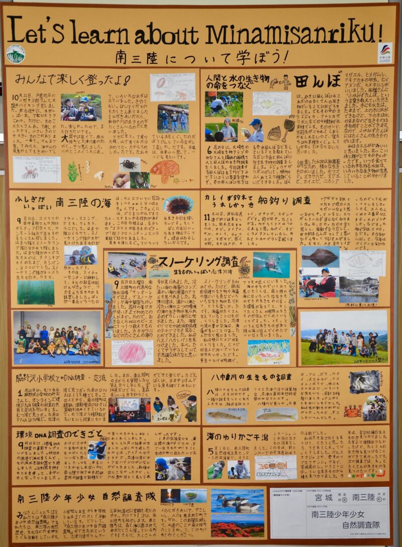「Let’s learn about Minamisanriku!」という英語のタイトルが書かれた展示ボードに、南三陸の自然や体験学習について子どもたちが書いた文章や絵、写真などが丁寧に貼られている壁新聞の写真