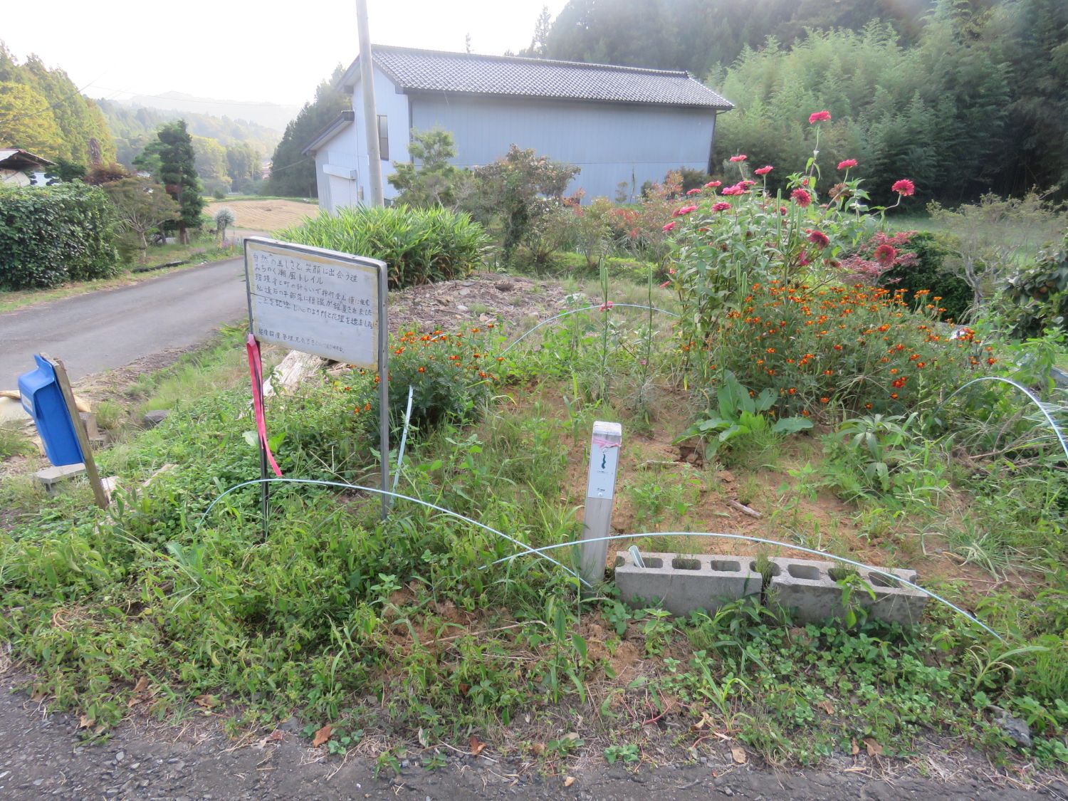 民家の前の道沿いに、花が植えられた花壇があり、案内看板の金属板と白い杭が立っている写真