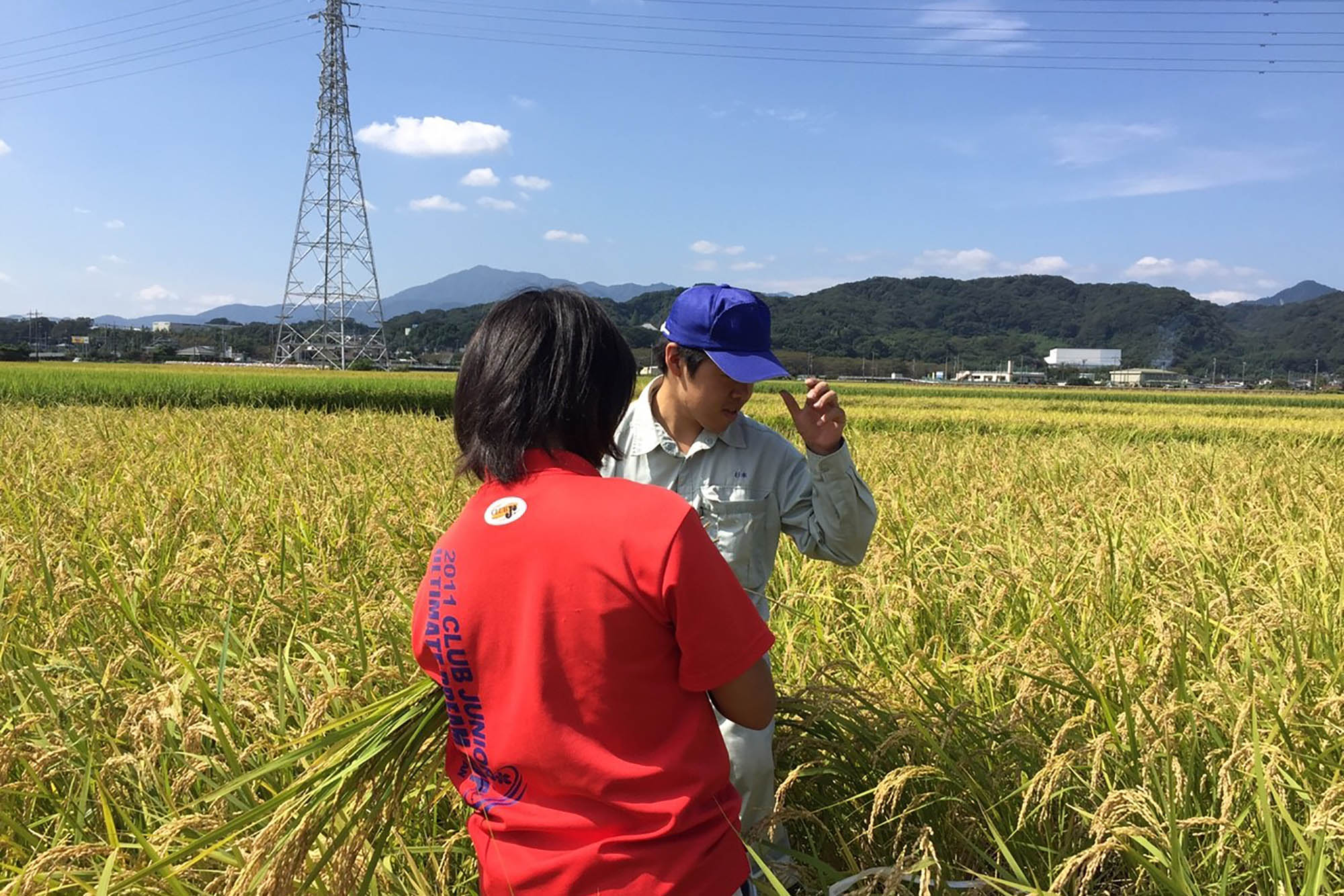 沢山の稲穂が実った田んぼの中で作業をしている様子の男性と宮岡さんを写した写真