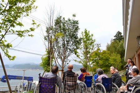 数人の高齢者が並んで座り、植樹されたばかりの桜の木々を見上げている写真