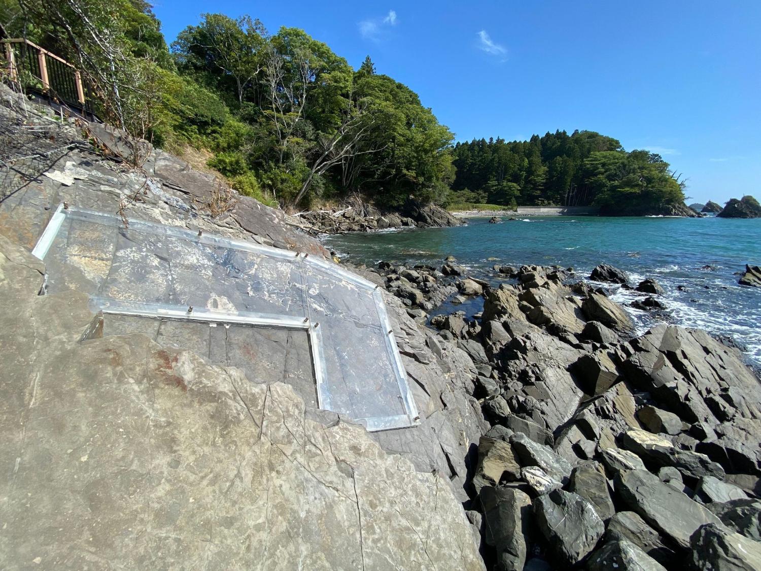 背後には緑豊かな森と青い海が広がり、岩場の海岸にあるウタツギョリュウ化石が透明なパネルで覆われて保護されている様子が写された写真