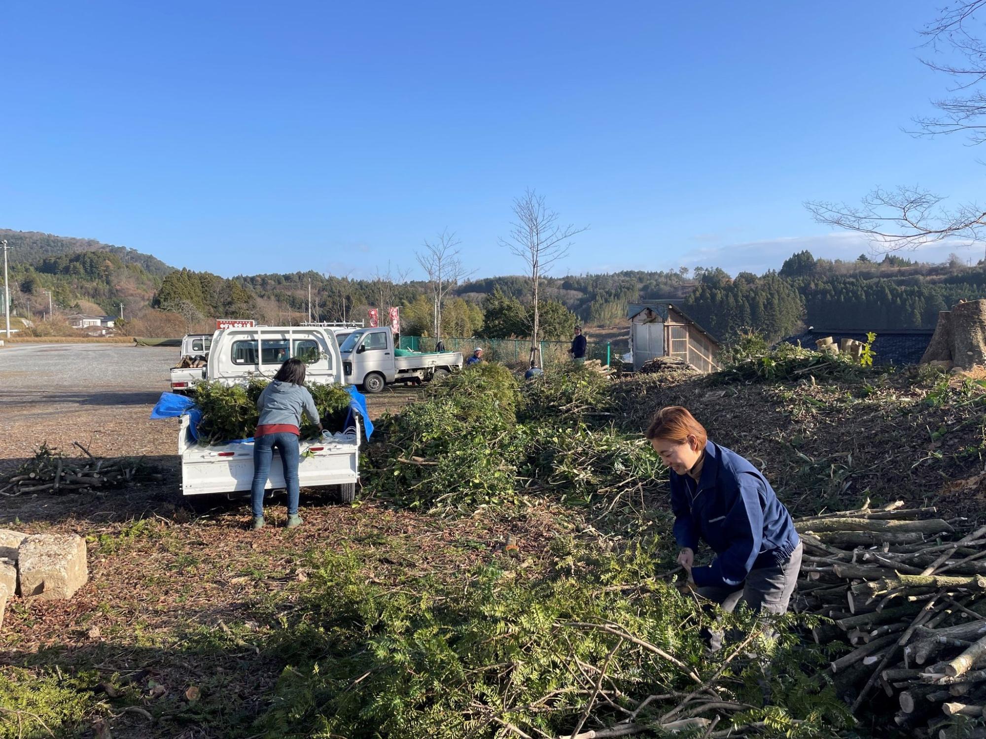 晴れた日、農村の風景の中で2人の女性が木の枝や葉を集め、軽トラックに積み込んでいる様子の写真