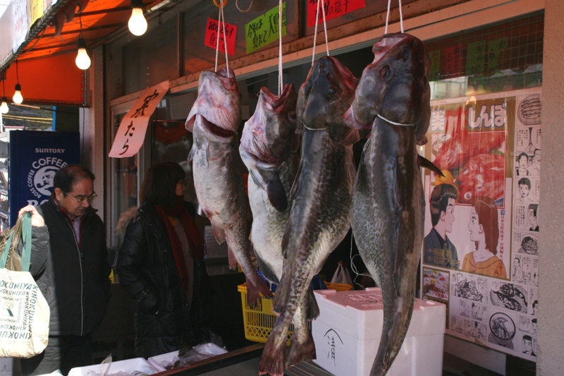 商店の軒先に4匹の大きな真鱈が口を開けたまま太い紐で吊るされ、その奥にはお客さんが来店する様子が写っている写真