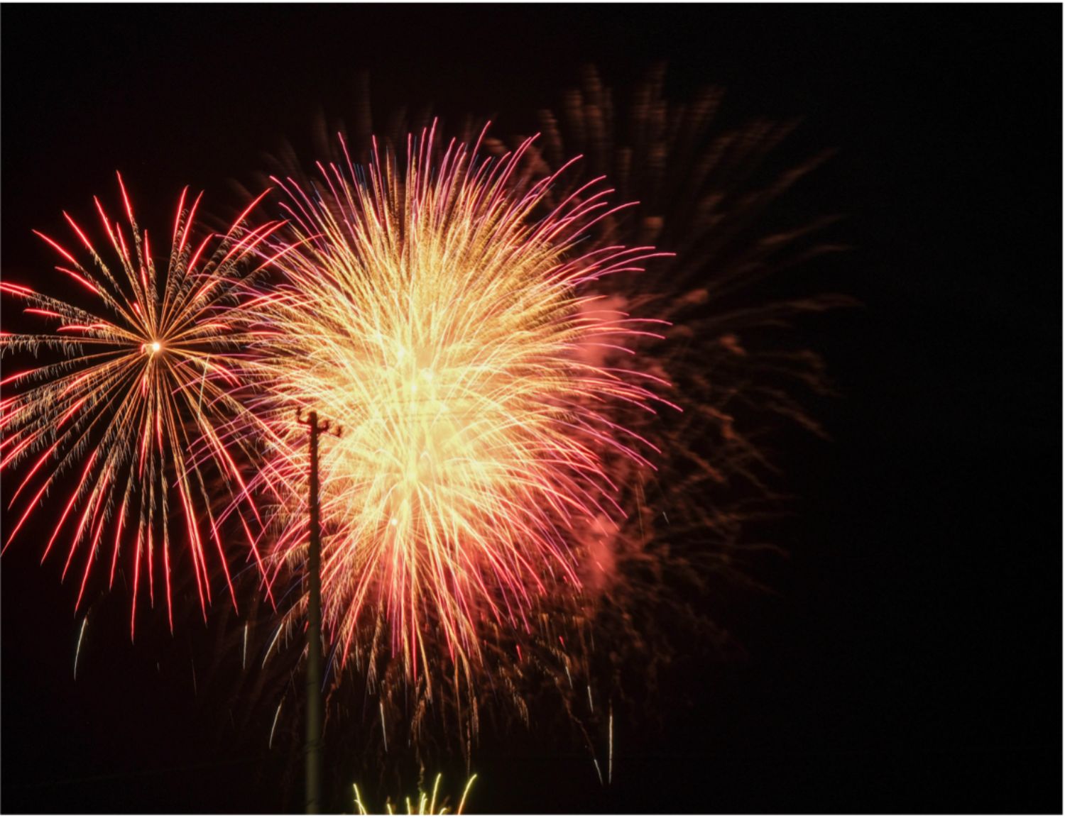夜空に大きな花火が鮮やかに打ち上がっている写真