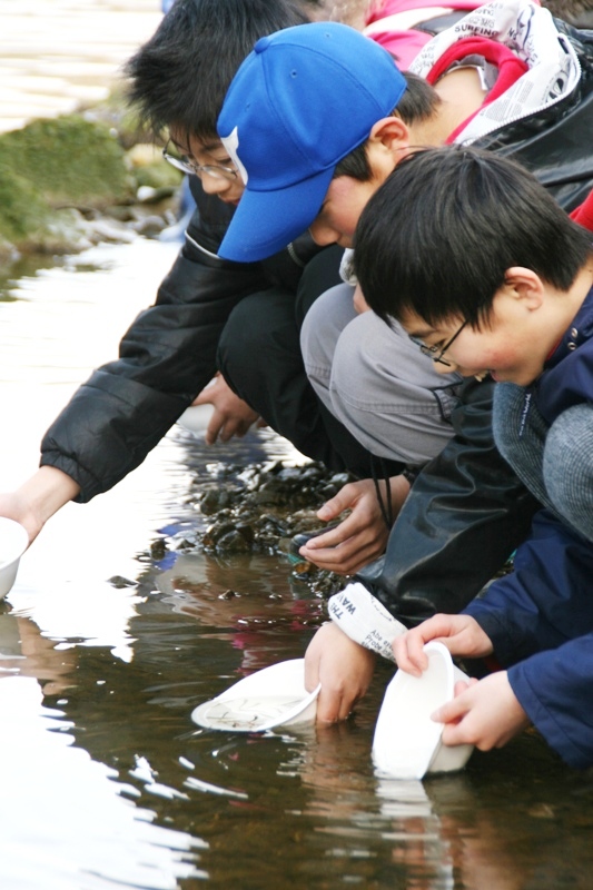 川の水辺で複数の子どもたちが容器を手に持ち、サケの稚魚をそっと水の中に放流している様子を写した写真