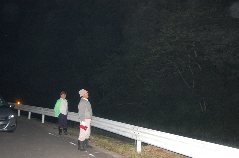暗闇の夜道で、二人の男性が白いガードレールのそばに立ち、懐中電灯を手にしながら、茂った木の生い茂る山側をじっと見上げているホタルの生息調査を行っている様子を写した写真