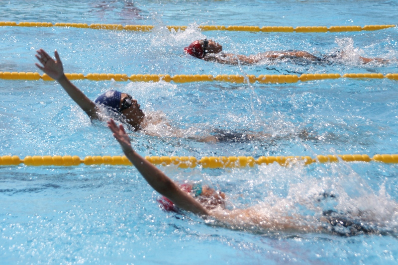 小学生水泳大会の競技中、3人の児童がそれぞれのレーンで背泳ぎをしながら腕を伸ばし、水しぶきを上げて泳いでいる様子を写した写真