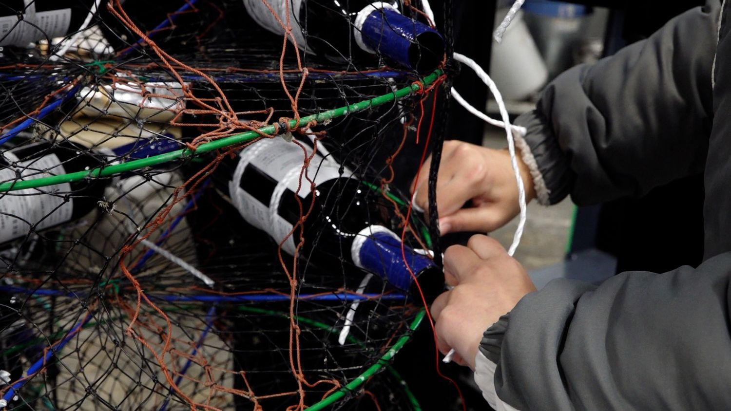 海中熟成用のかごにワインボトルを取り付ける高校生の手元を写した写真