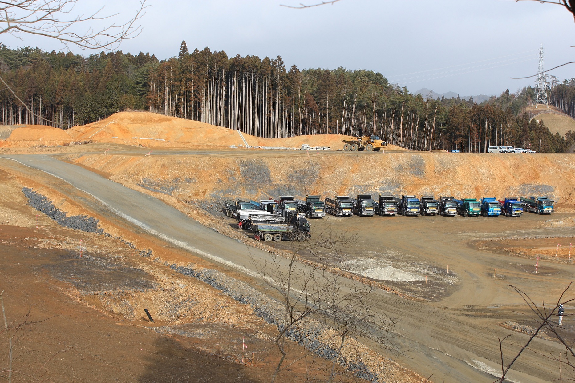 奥に木々が生えているのが見える造成地に沢山のダンプカーが並んで駐車している写真