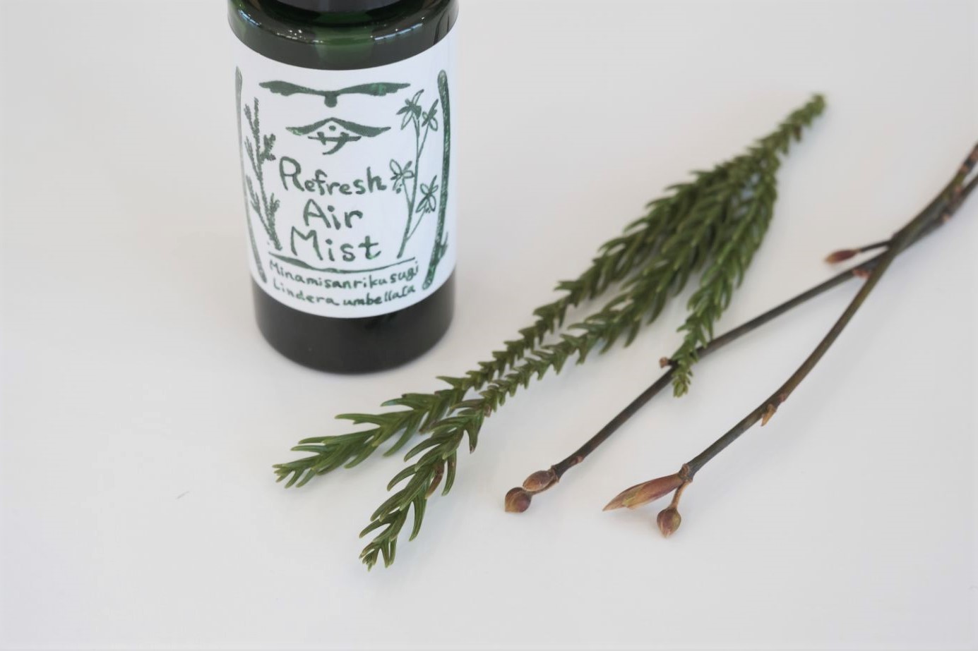 クロモジの枝と杉の葉とスプレーボトルの写真