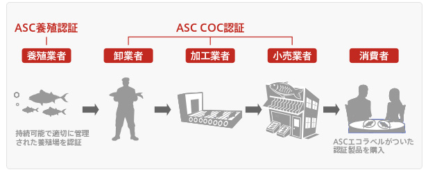 ASC認証の内容が書かれている認証制度の図