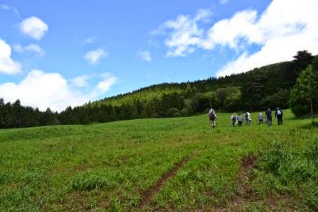 広々とした緑の草原を数人の人たちが奥に向かって歩いており、背景に森と青空が広がっている草原の写真