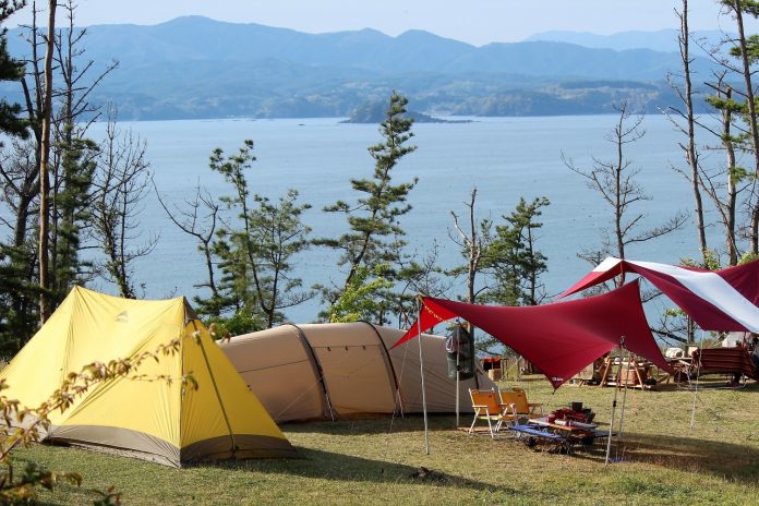 海の見える高台に黄色やベージュのテントと赤いタープが設置されており、周囲には背の高い松の木が点在しているキャンプ場の風景の写真