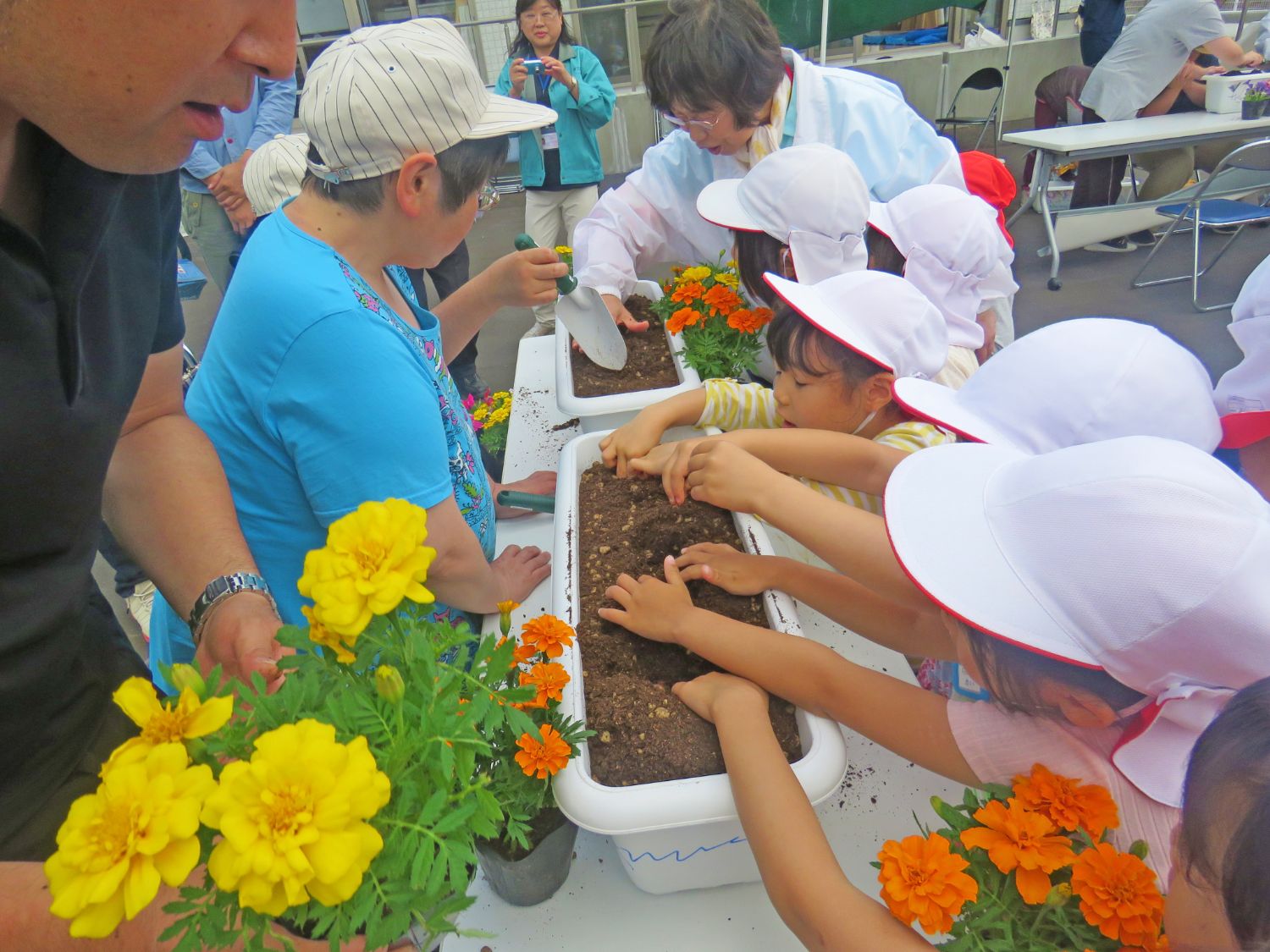 白い帽子を被った子どもたちと数人の大人が、土を入れた長くて白いプランターに、黄色とオレンジのマリーゴールドの苗を手に持って順番に植えようとしている写真