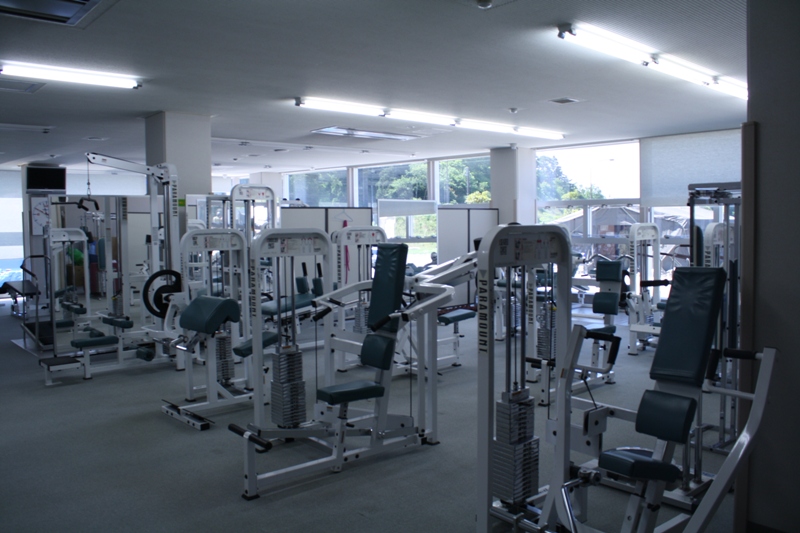 大きな窓から外の緑の風景が見える明るい室内に、様々なトレーニングマシンが並んでいるトレーニングルームを写した写真