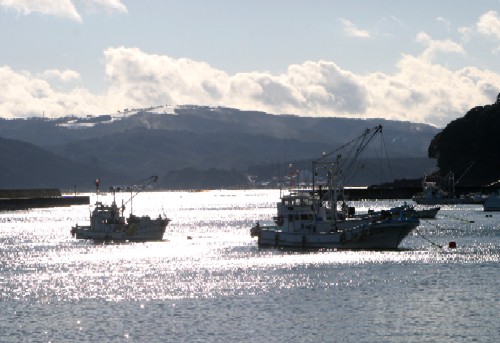 海面が太陽の光を反射して強くきらめく中、2隻の白い漁船が湾内に浮かび、その奥の遠景には雪化粧をした山々が見える、冬の漁港の風景写真