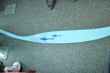 緑のカーペットの床に、小川のような水色の帯が走り、その上に2匹の魚が泳いでいるイラストが描かれた写真