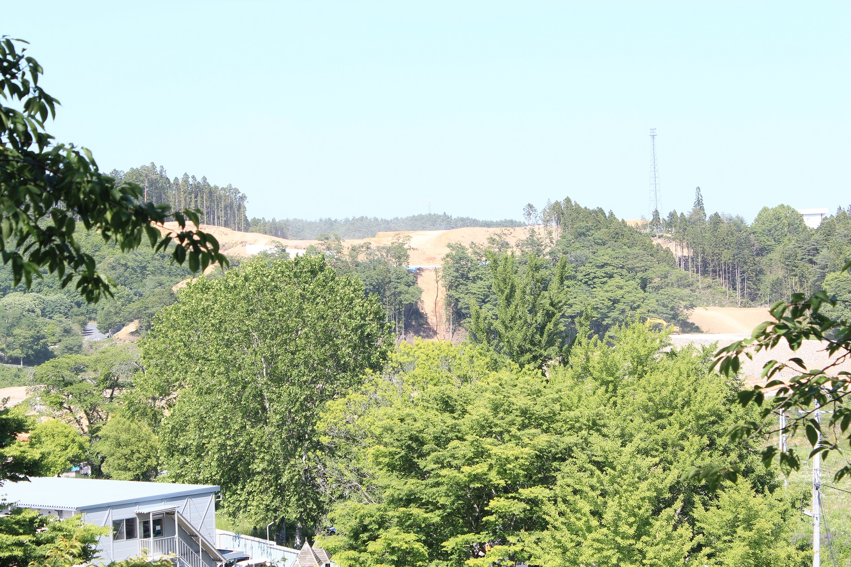 手前左側に外付け階段のあるプレハブ小屋があり、周りに青々とした木が生え、さらに奥に切り開かれた造成地が見えている写真