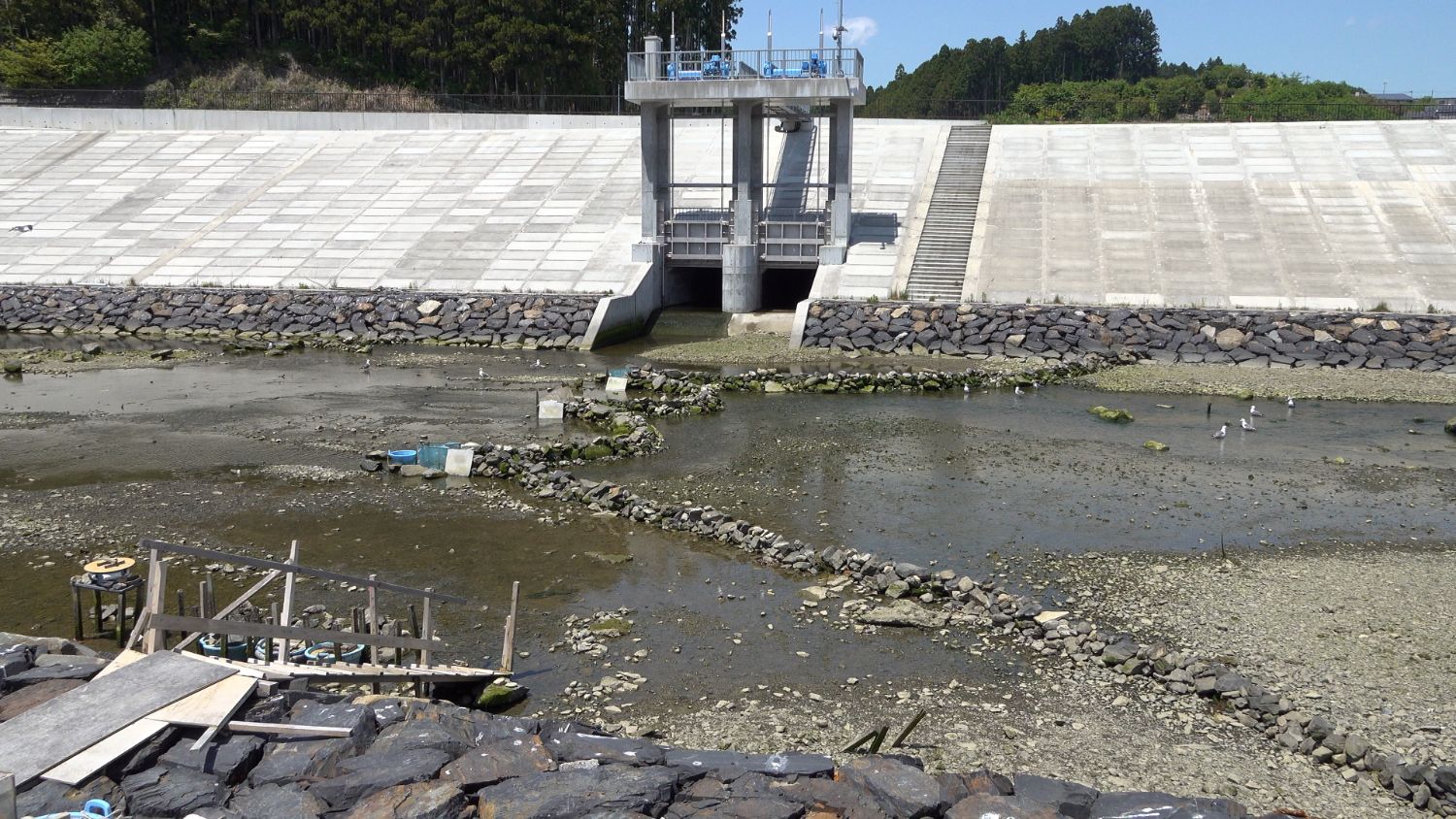 コンクリート製の巨大な堤防の前にある干潟のような場所で、いくつかの石垣や水たまりが点在し、中央にS字型に石が組まれたザワが仕掛けられている写真